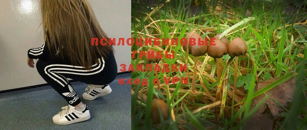 герыч Баксан